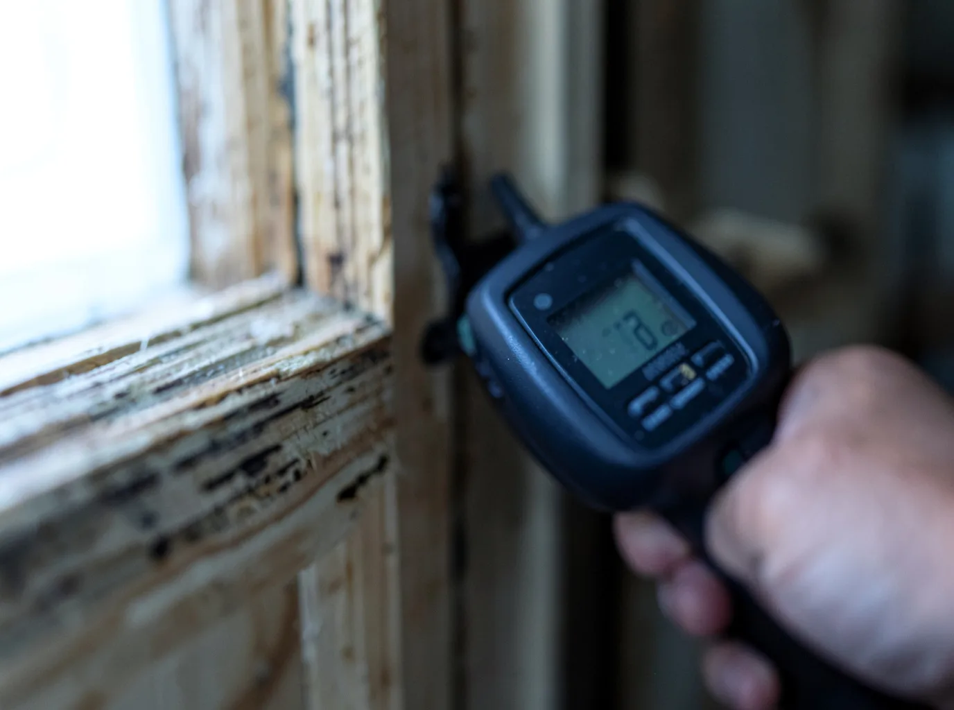 Moisture Inspection And Documentation in Higgins Lake, MI